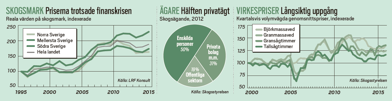 Skogdiagram